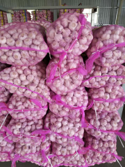 Bawang Putih Import