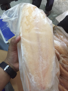 dori fillet