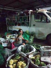 hasil pertanian sribudolok (sumut)