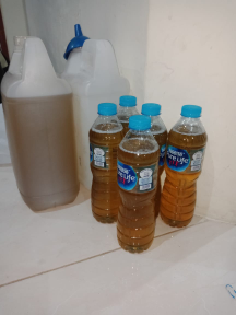 minyak kelapa home industri