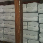 bunga kamboja kering