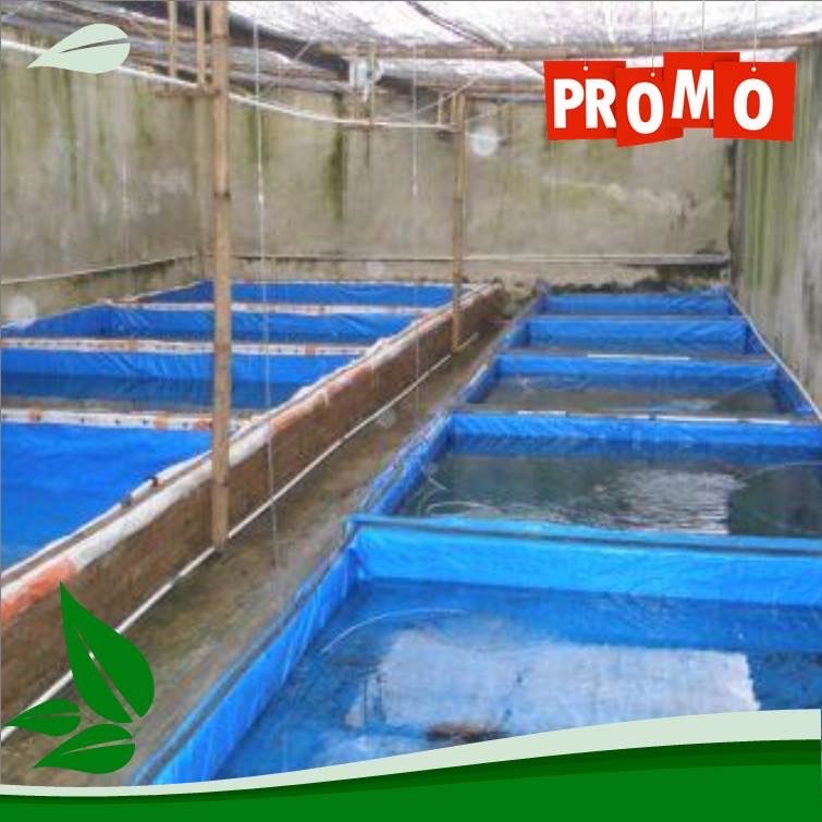 Terpal Plastik Harga Termurah dengan Kualitas Terbaik