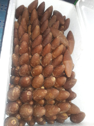 Gula merah asli Bone