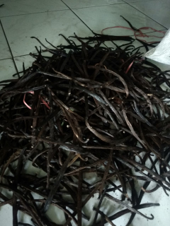 vanili di jual