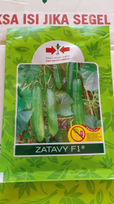 BENIH BIBIT MENTIMUN ZATAVI 800BUTIR
