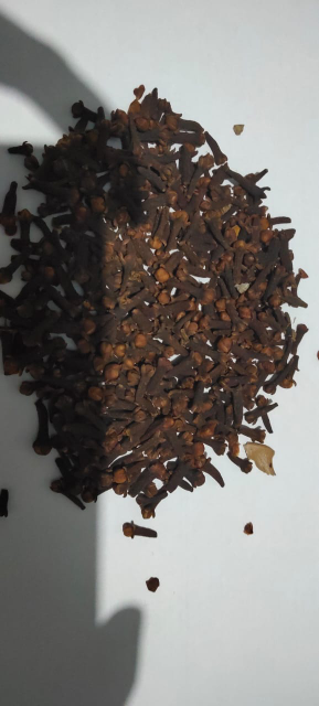 cengkeh kering