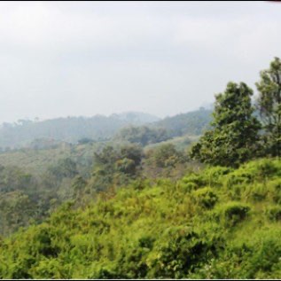 Tanah Setrategis di situs megalith gunung padang 