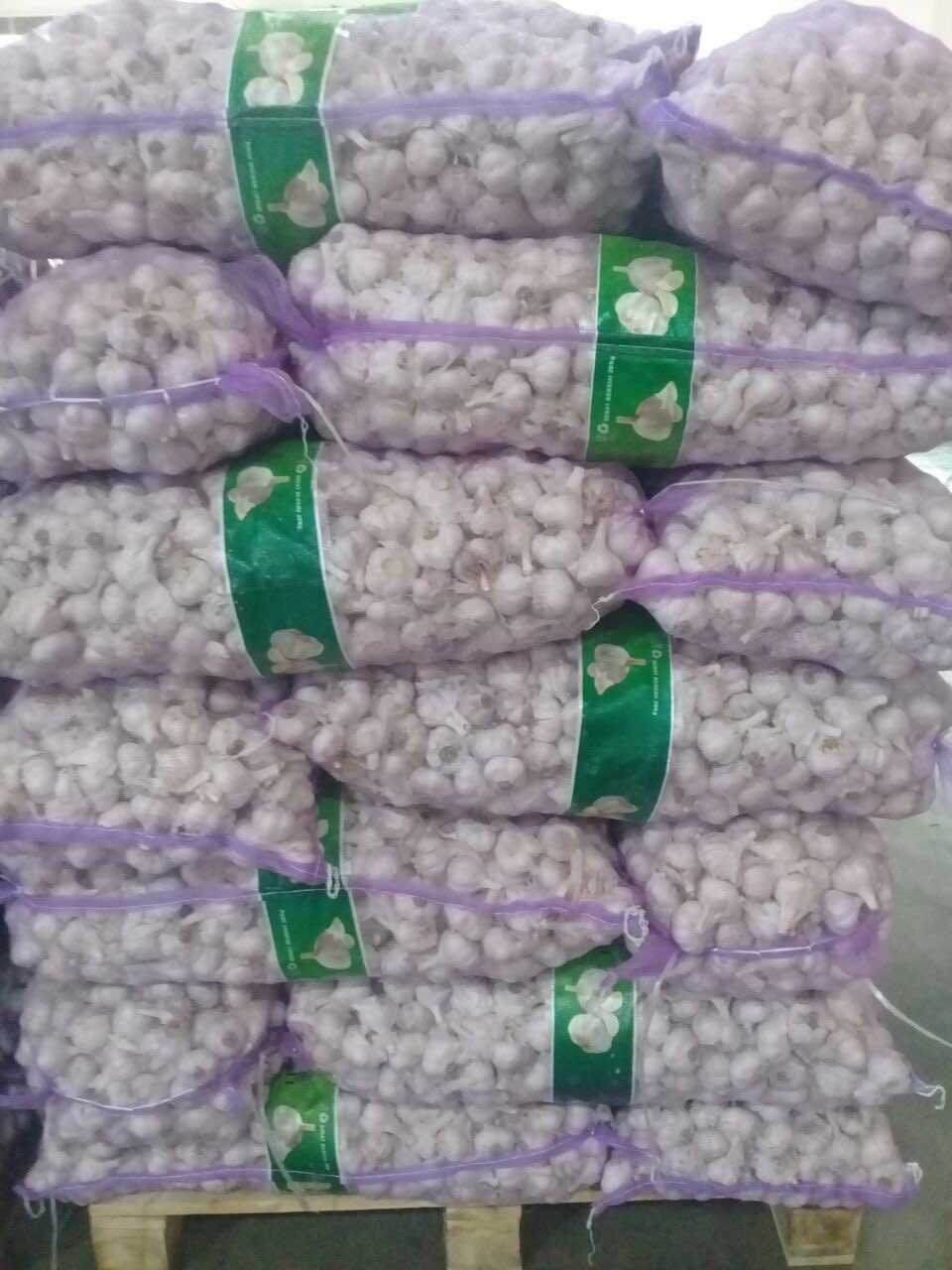 Bawang Putih Import Termurah
