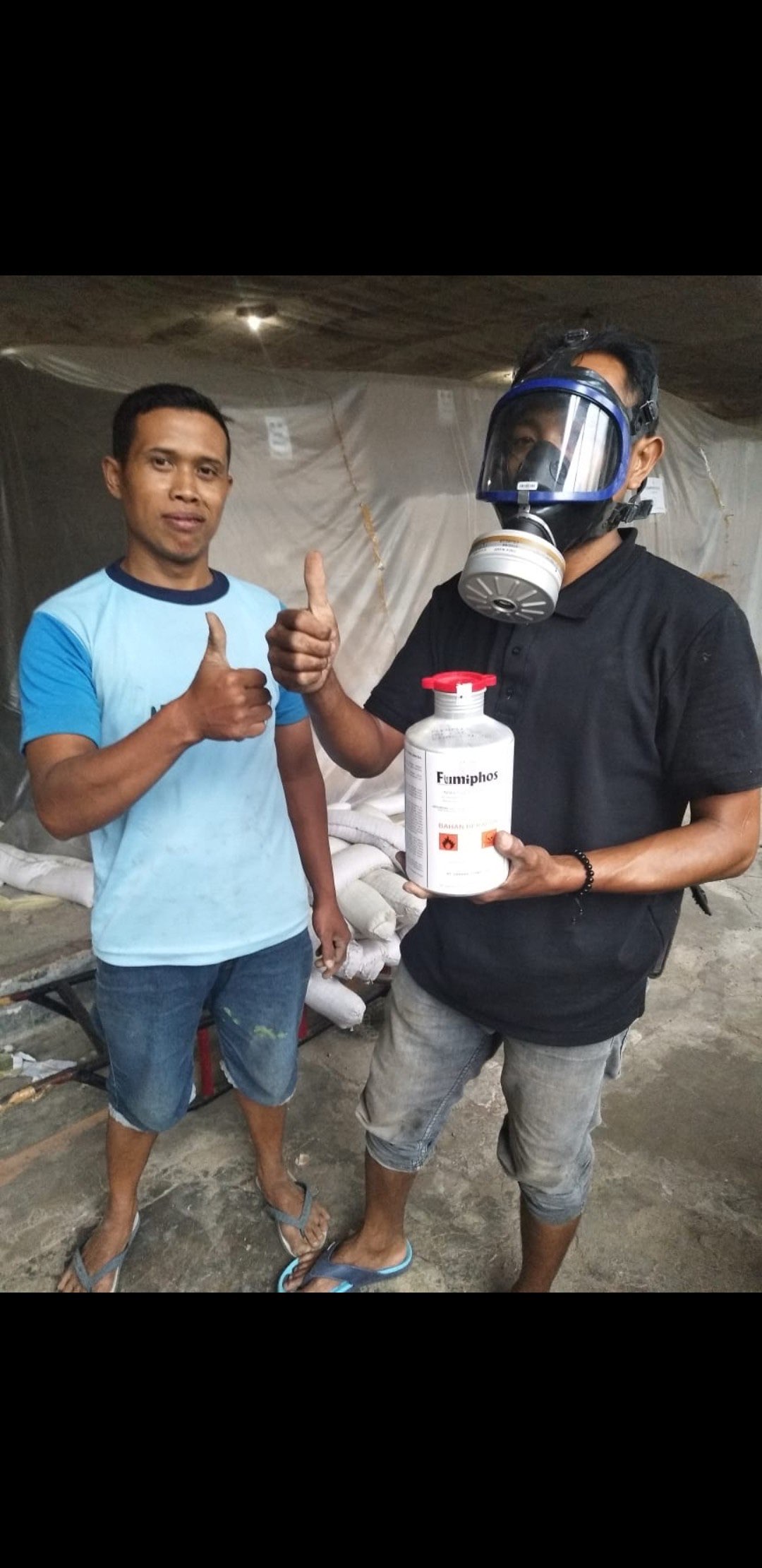 Obat Kutu Beras, Jagung, Katul, Tembakau, Kopi, Kedelai, Pakan Ternak TERAMPUH