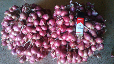 Bawang Merah