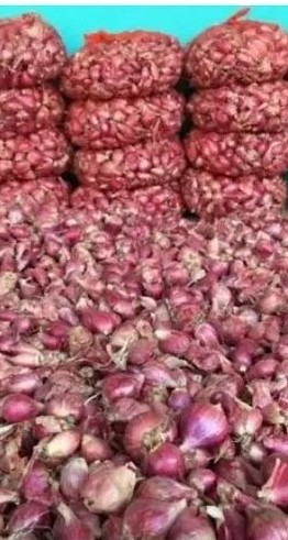 Supplier bawang