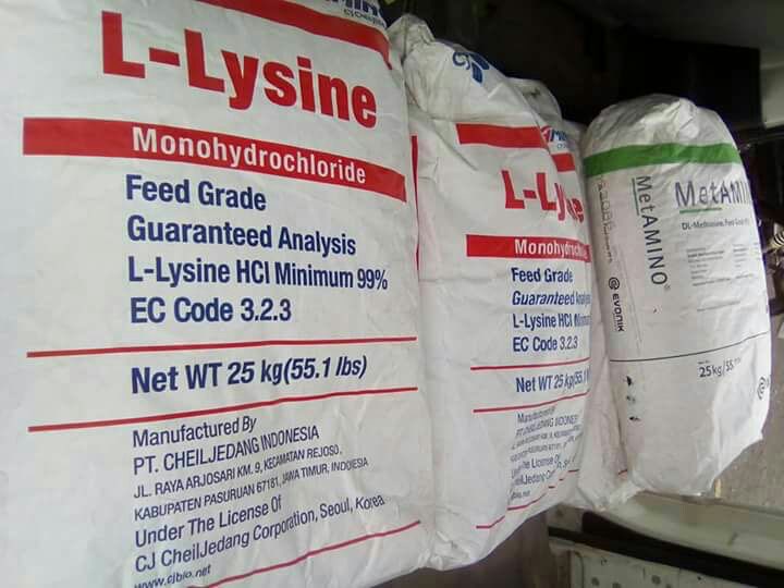 asam amino (lysin hcl)