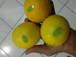 Lemon California