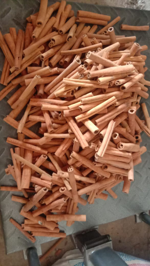 Kayu manis asli kerinci