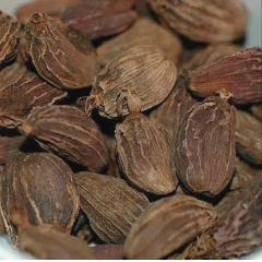 kapulaga coklat