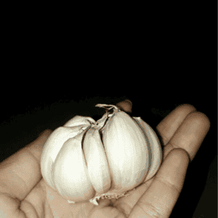 Kami Menjual Bawang Putih Impor