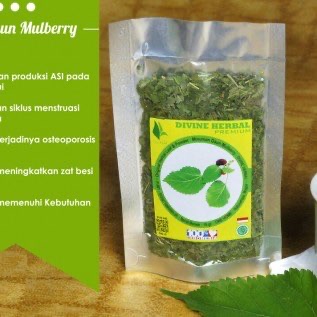 Jual Teh Mulberry