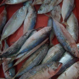 Kembung Banjar