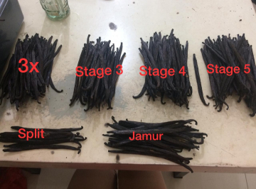Jual vanilli kering jenis Tahitti