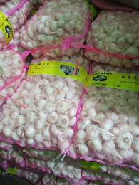JUAL & SUPLY BAWANG PUTIH KATING & HONAN