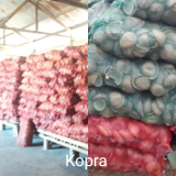 COPRA / DRIED WHITE COCONUT COPRA / KOPRA