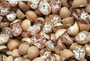 pinang belah kering