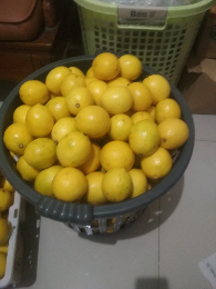 lemon california curah
