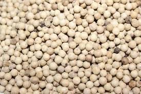 DISTRIBUTOR REMPAH-REMPAH LADA PUTIH