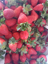 buah stoberi