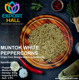 lada putih bangka (muntok white peppercorn)