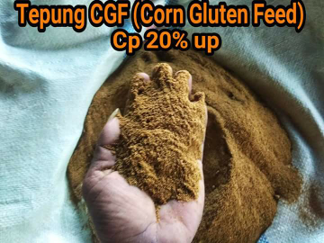 CGF / Nutrisi Jagung