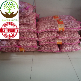 Bawang Putih