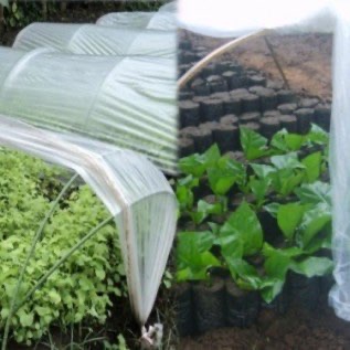 Plastik Sungkup Harga Murah Serta Berkualitas