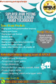 suplayer ayam malang raya
