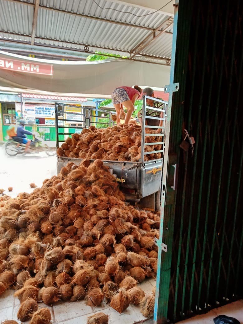 Kelapa Jambi