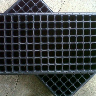 Tray Semai - Pot Tray - Juga menyediakan eceran