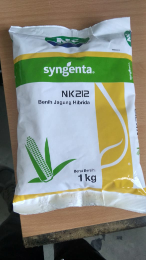 Bibit jagung hibrida