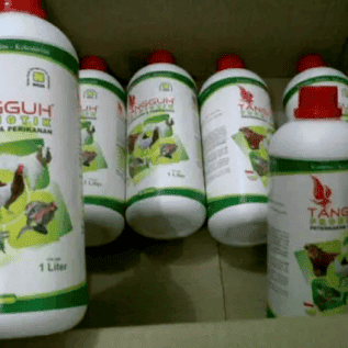 TANGGUH PROBIOTIK