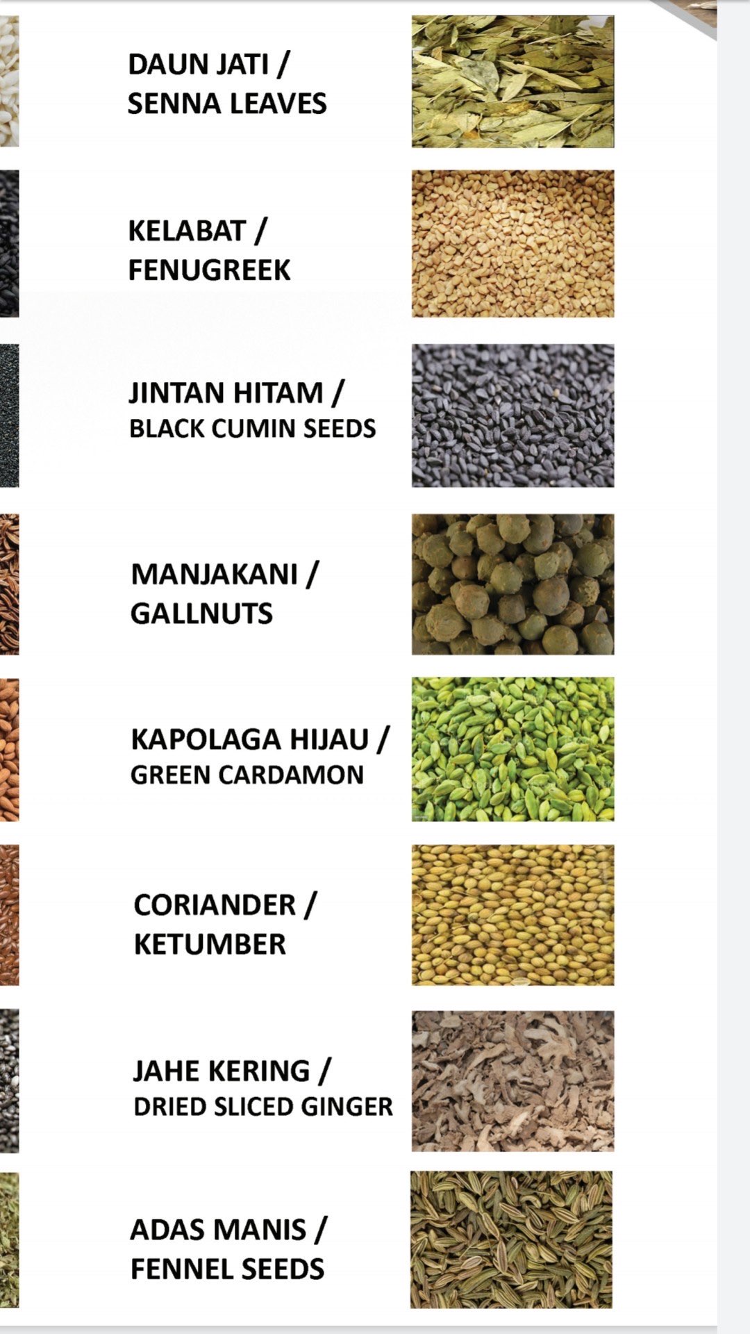 KACANG TANAH AP INDIA
