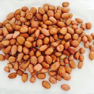 kacang tanah