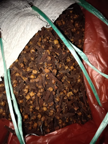 jual cengkeh kering great A