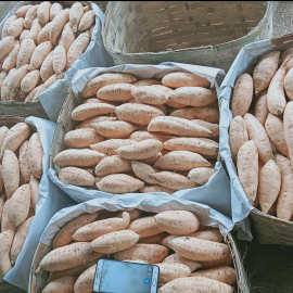 Ubi Cilembu/ Ubi Madu