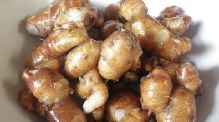 JUAL Kencur partai Besar