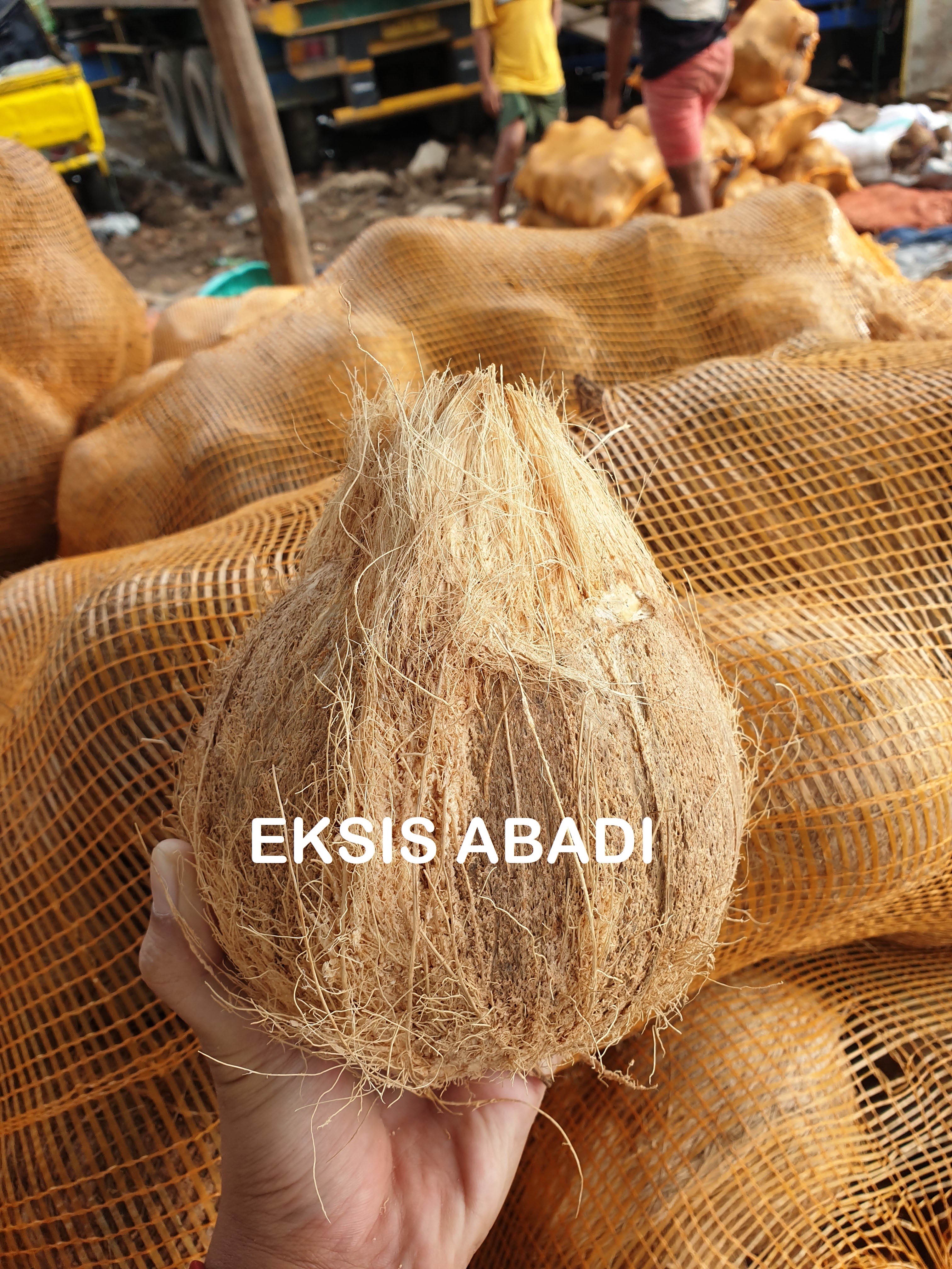 Kelapa