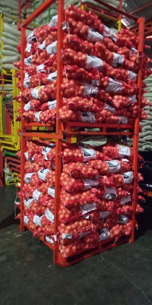 BAWANG BOMBAY ONION 50-60