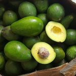 Alpukat Mentega Jive Farmer & Fruits