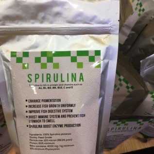 Spirulina Betacaroten untuk Ikan dan Udang