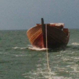 Jual kelapa tua 