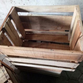 JUAL PETI BUAH KAYU 