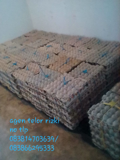 jual telor ayam negri harga murah kualitas oke